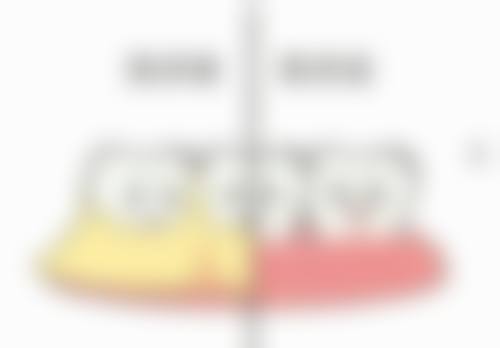 王文敏的学术积累与从业资历