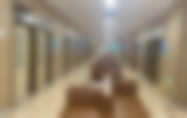 苏智伟的学术积累与从业资历