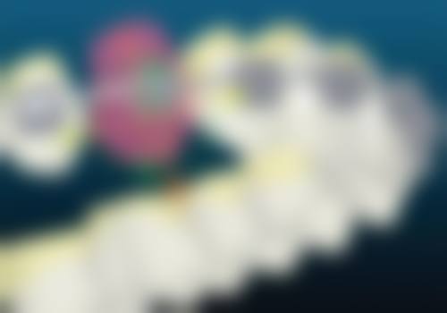 上海赛喏贝口腔门诊部核心医疗团队