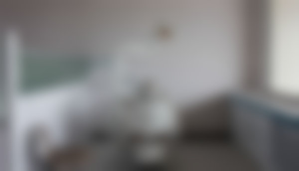 学术积累与从业资历