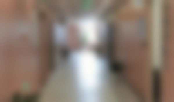 金晓婷的价格收费与坐诊时间
