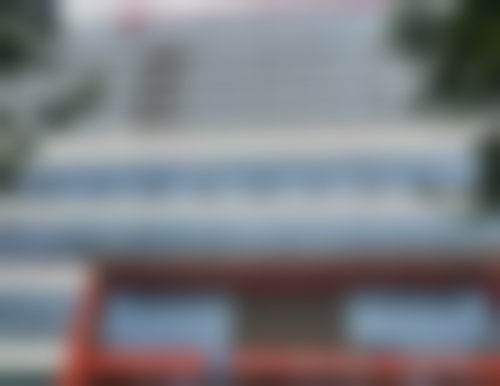 4. 诊疗标准与服务细节