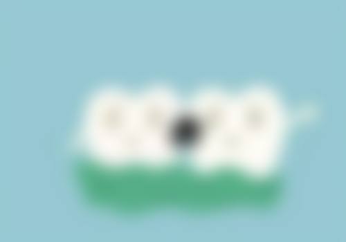 学术积累与从业资历