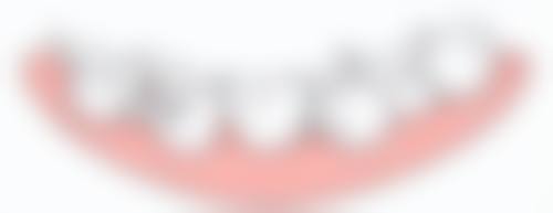 二、学术积累与从业资历