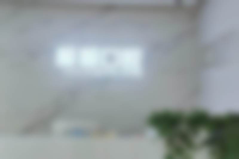 学术积累与从业资历